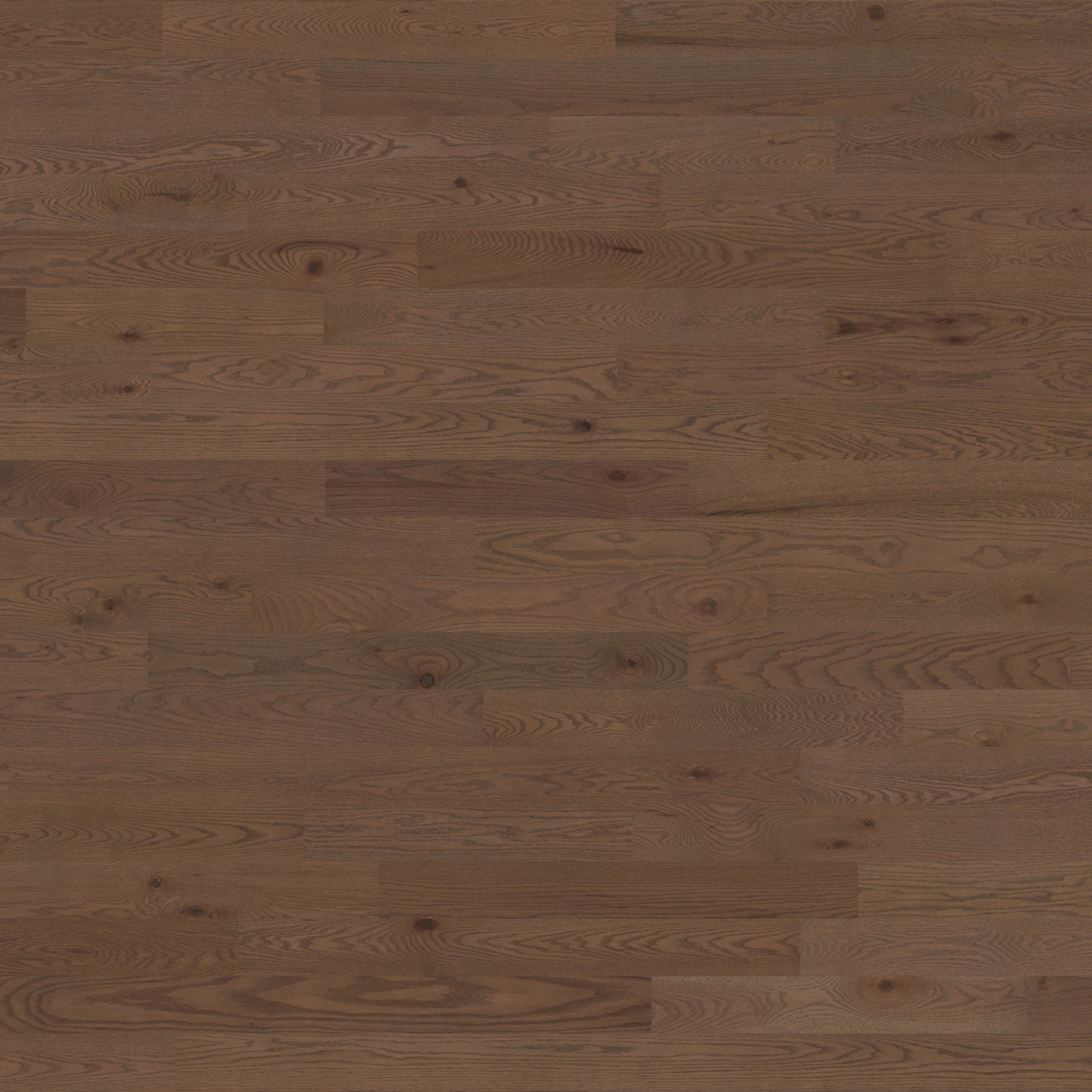 Red Oak Elora Brushed Cashmere® - Floor image