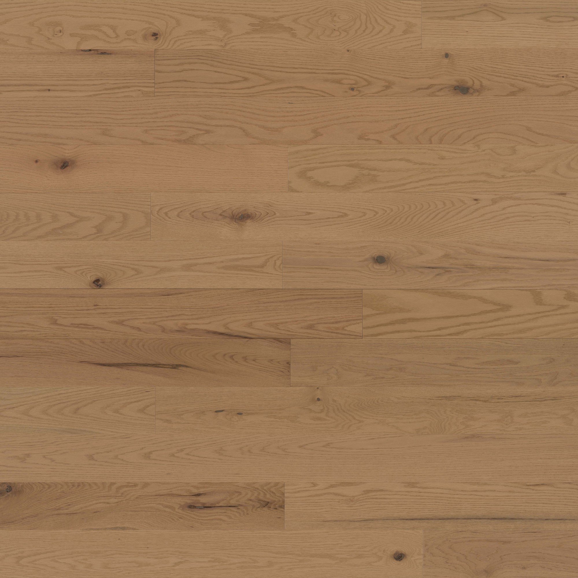 Red Oak Galena Brushed Cashmere® - Floor image