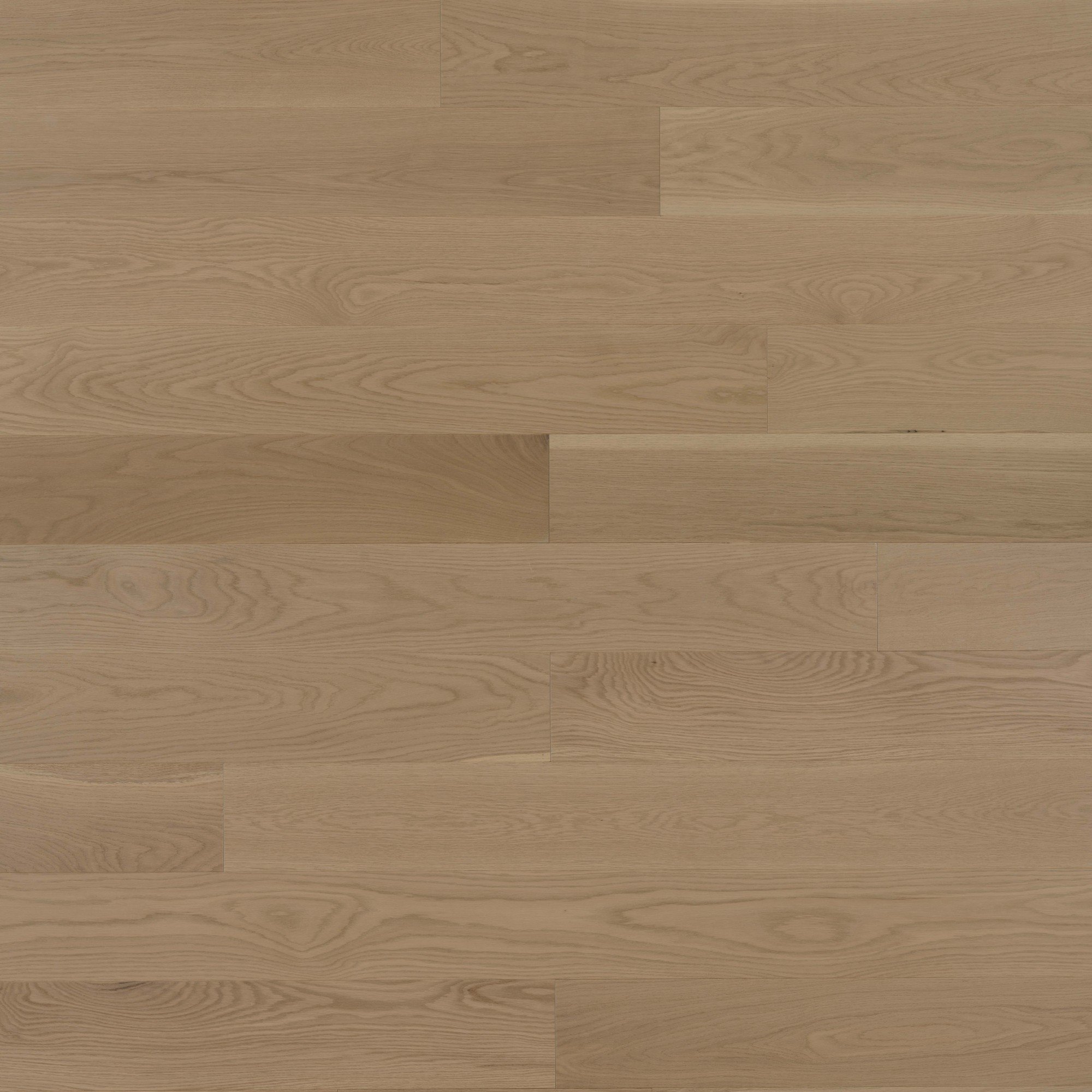 White Oak Maud Brushed DuraMatt® - Floor image