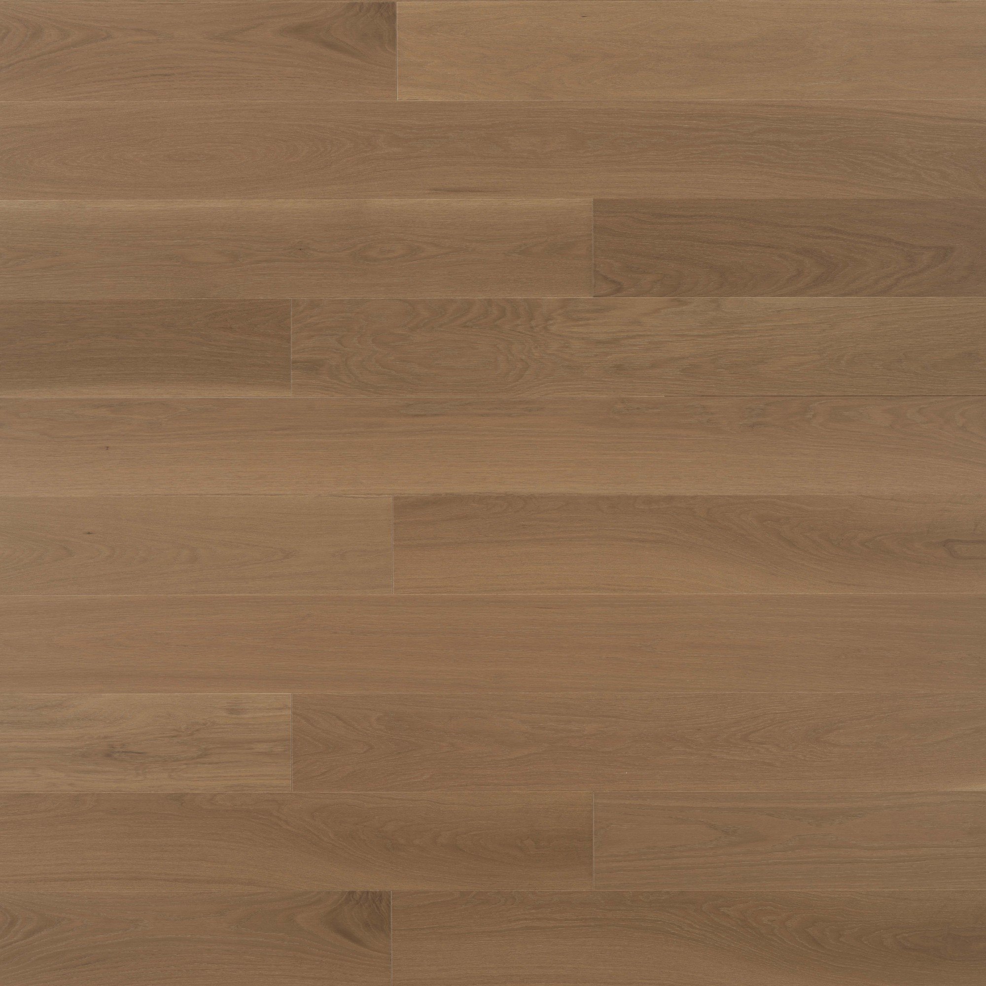 White Oak Hattie Brushed DuraMatt® - Floor image