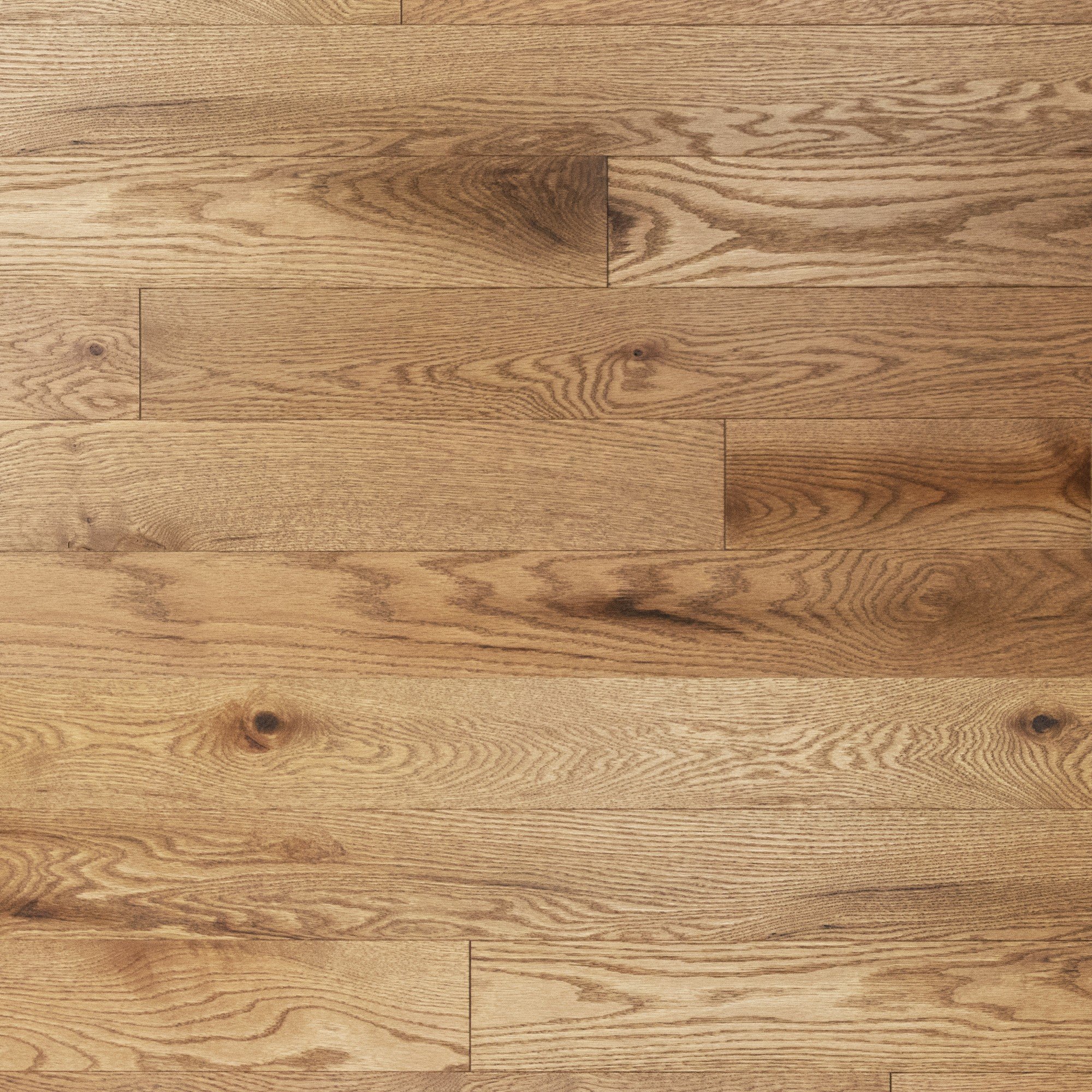 Red Oak Laguna Brushed Cashmere® - Floor image