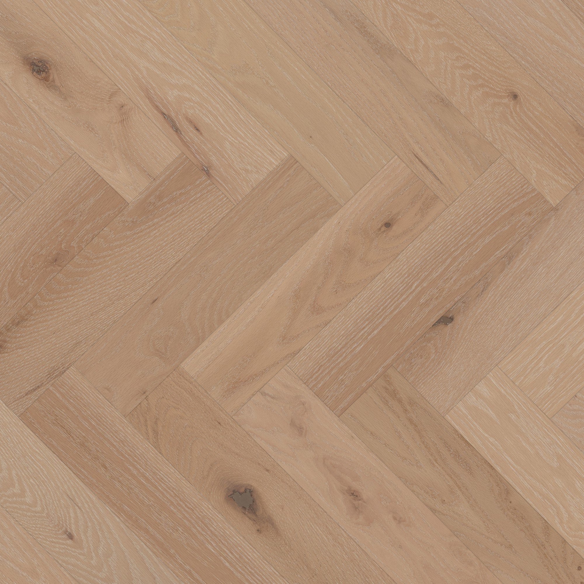 Oak Key Largo Brushed DuraMatt® - Floor image