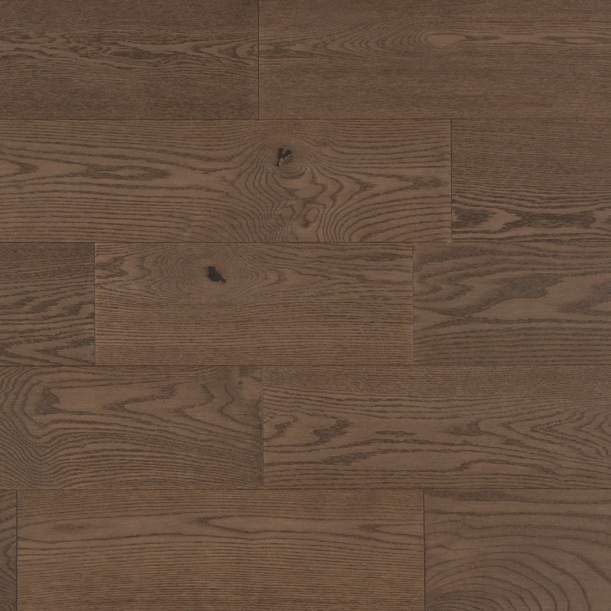 Red Oak Tree House Character Brushed - Floor image