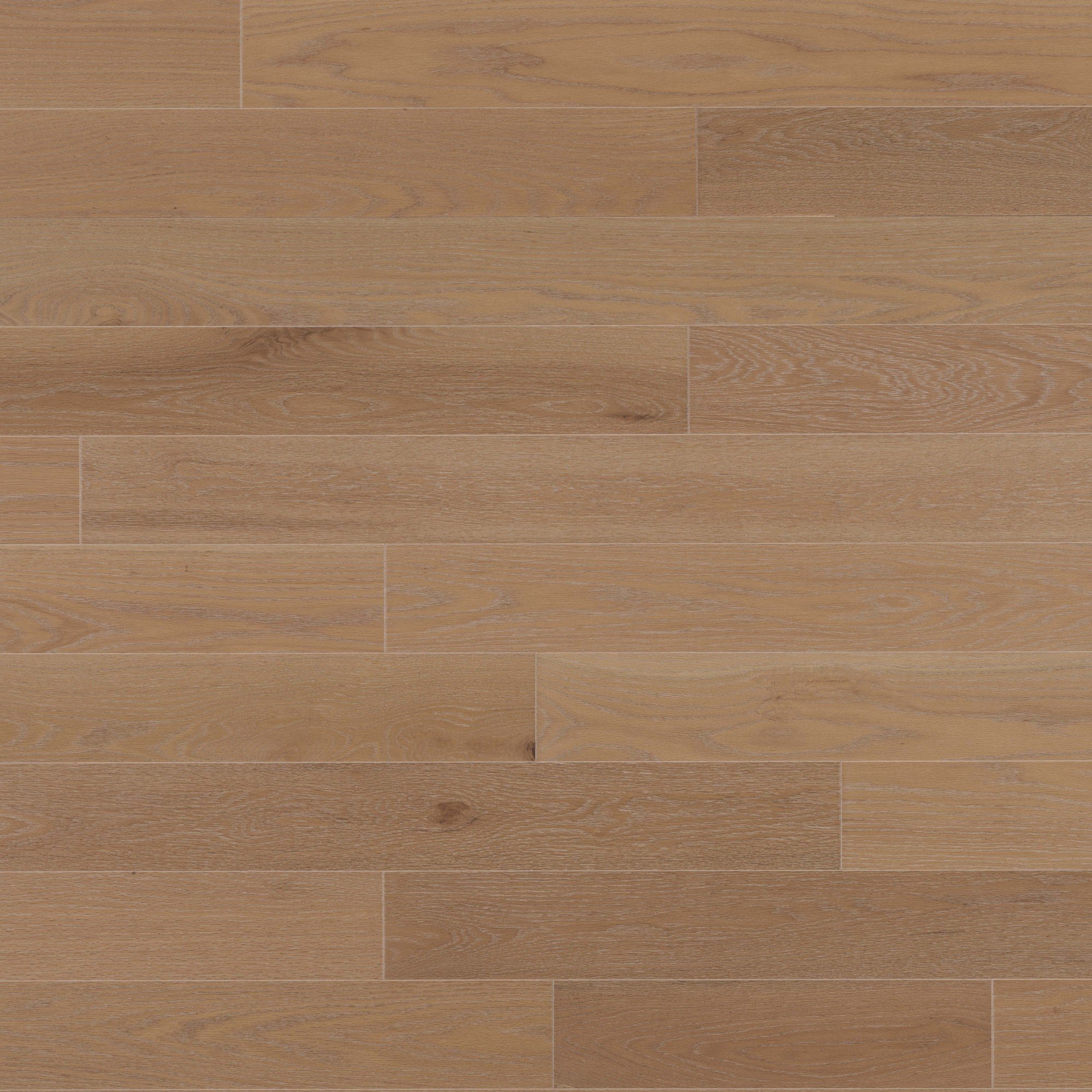Oak Sanibel Brushed DuraMatt X - Floor image