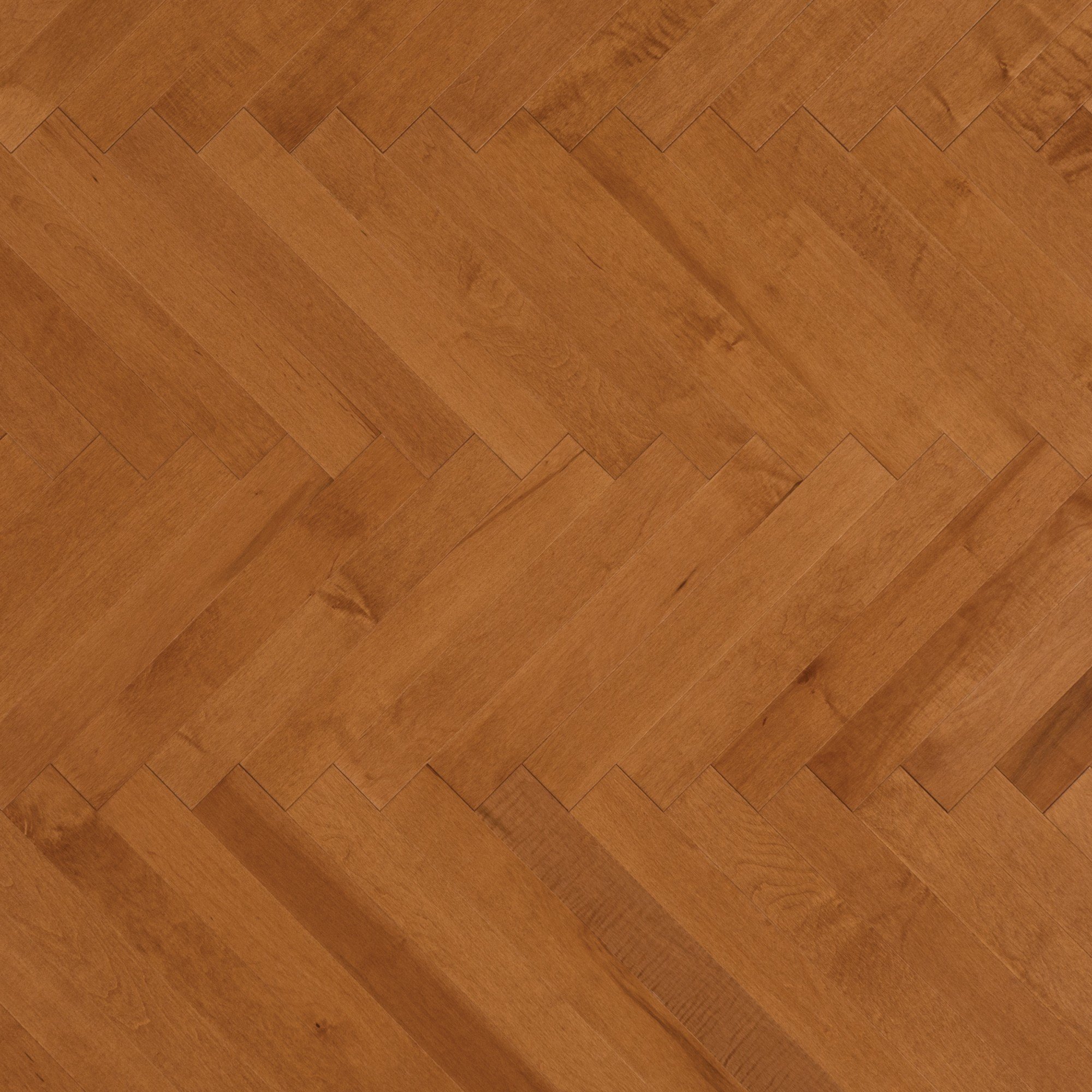 Maple Nevada Smooth Cashmere® - Floor image