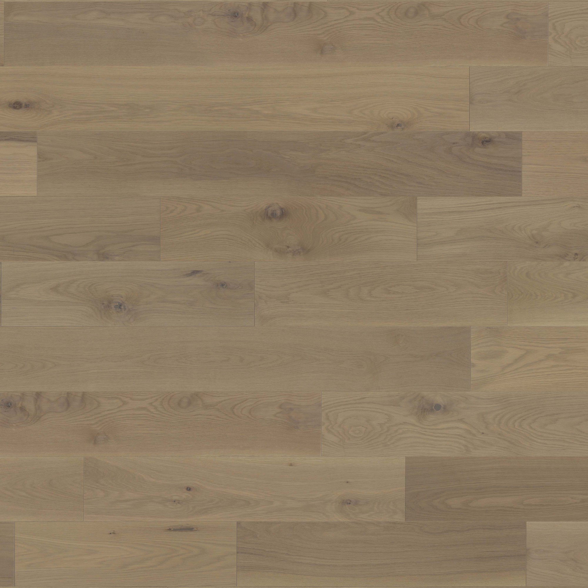 White Oak Maud Character Brushed - Floor image