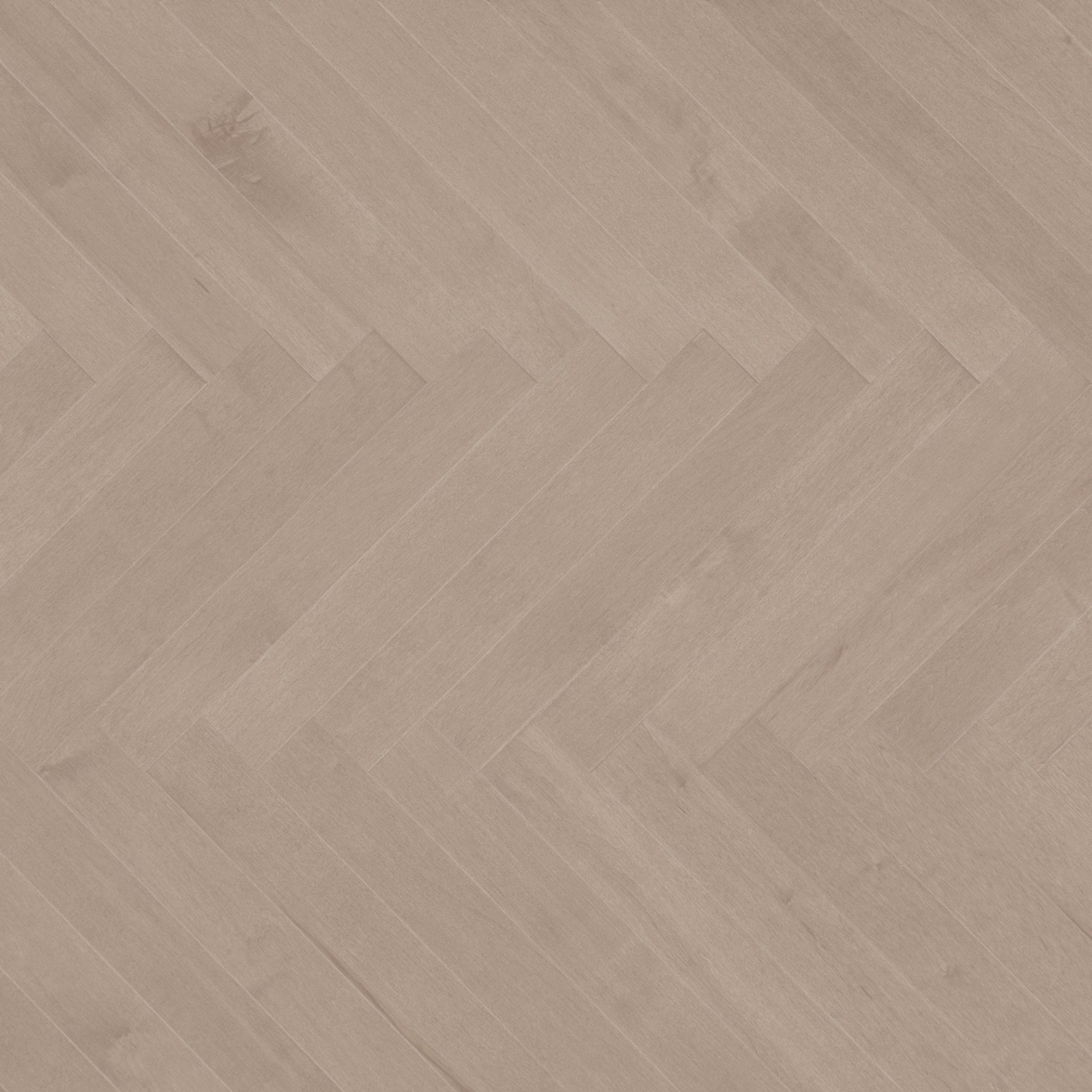 Maple Rio Smooth Cashmere® - Floor image