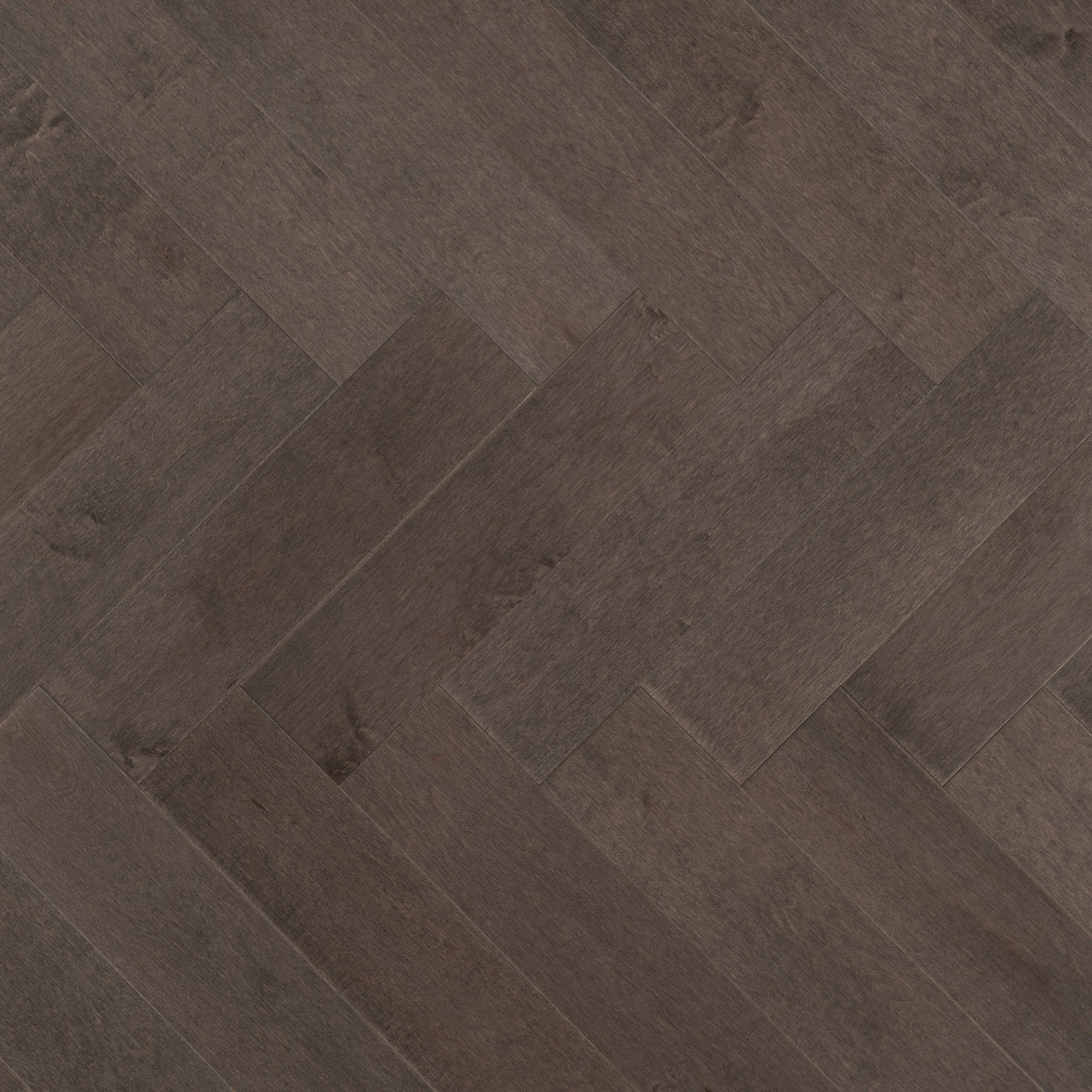 Maple Charcoal Exclusive Smooth - Floor image