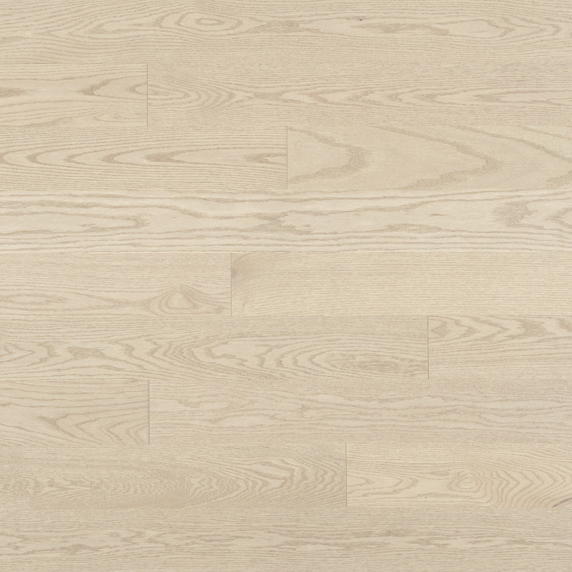 Red Oak Cape Cod Exclusive Smooth - Floor image