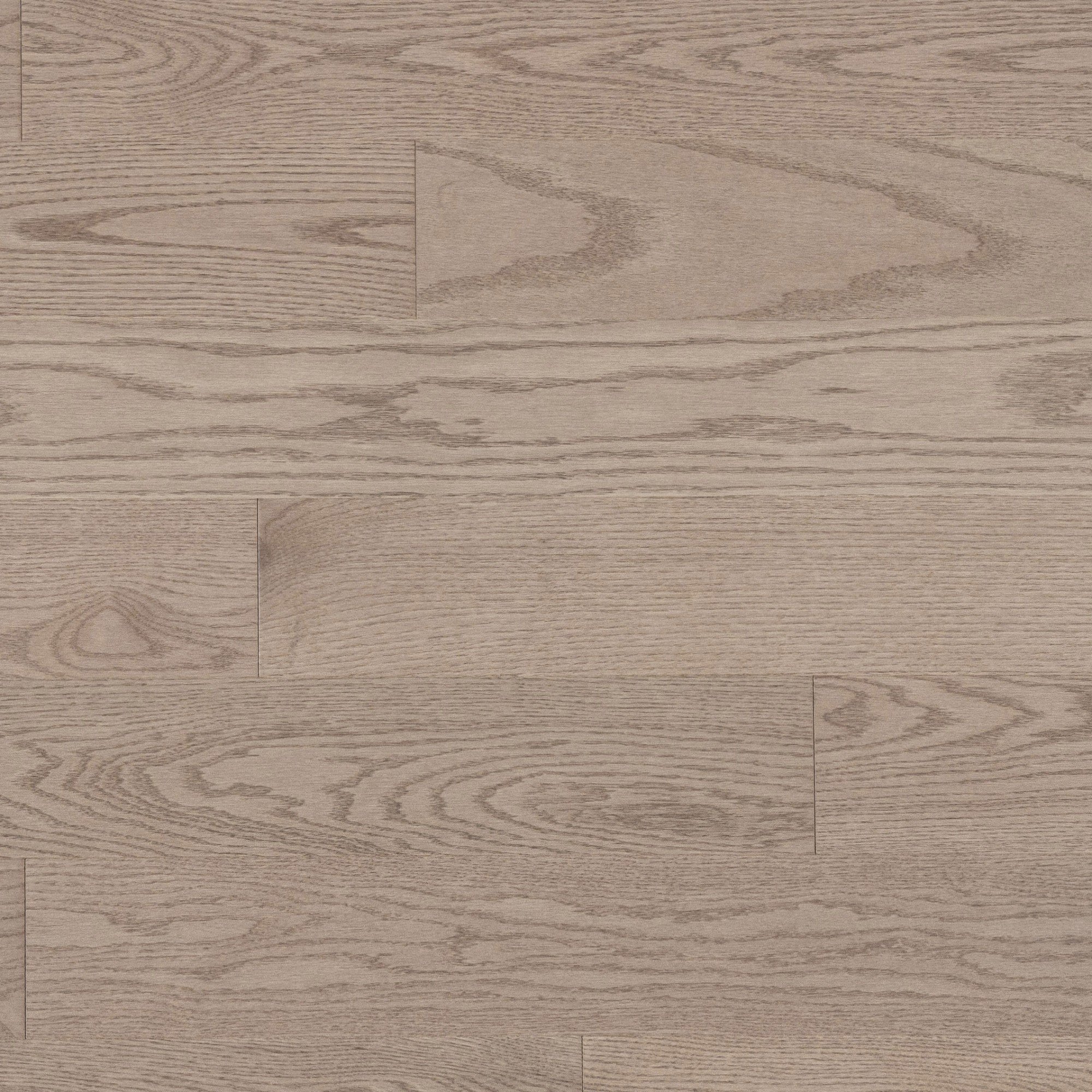 Red Oak Rio Smooth Cashmere® - Floor image