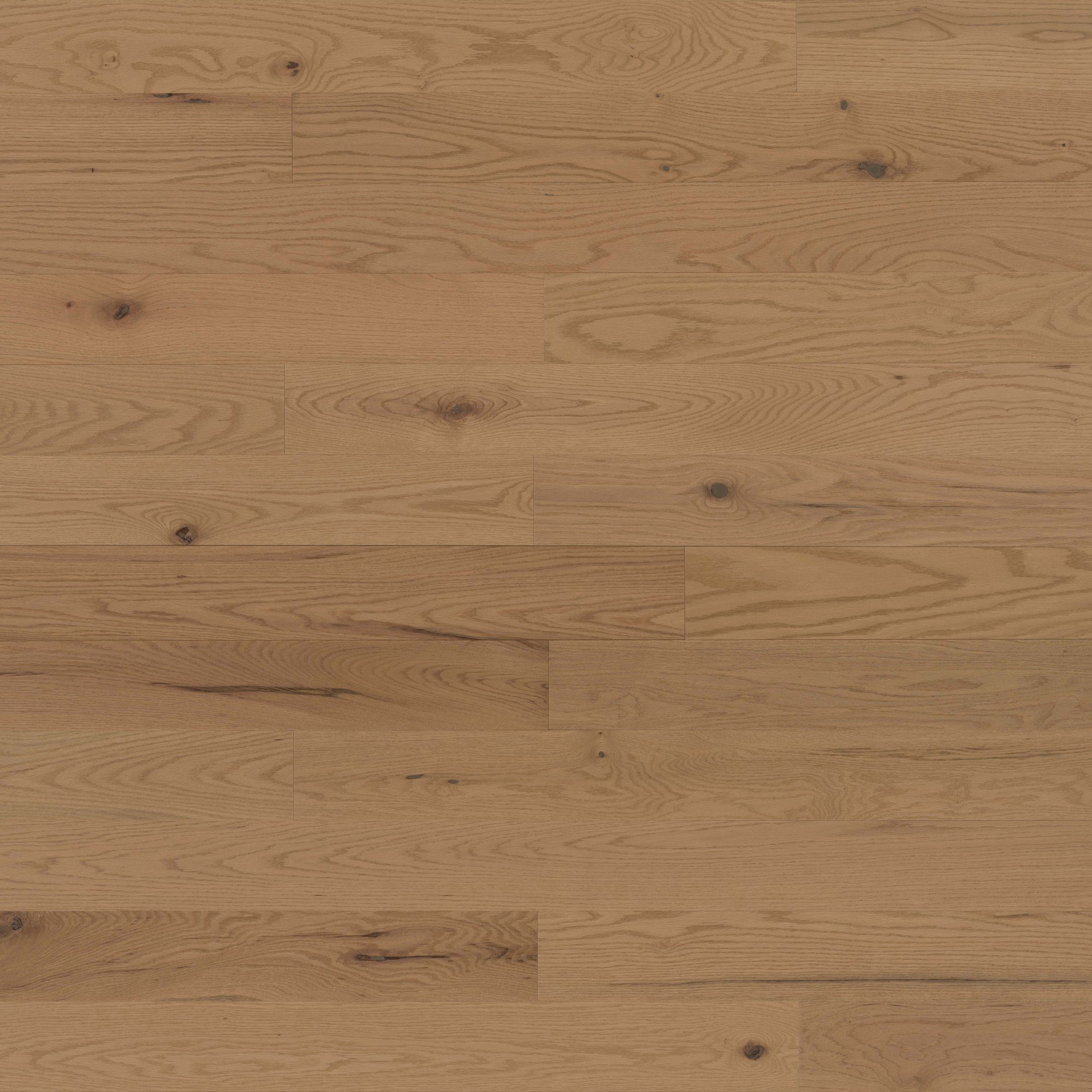 Red Oak Galena Character Brushed - Floor image