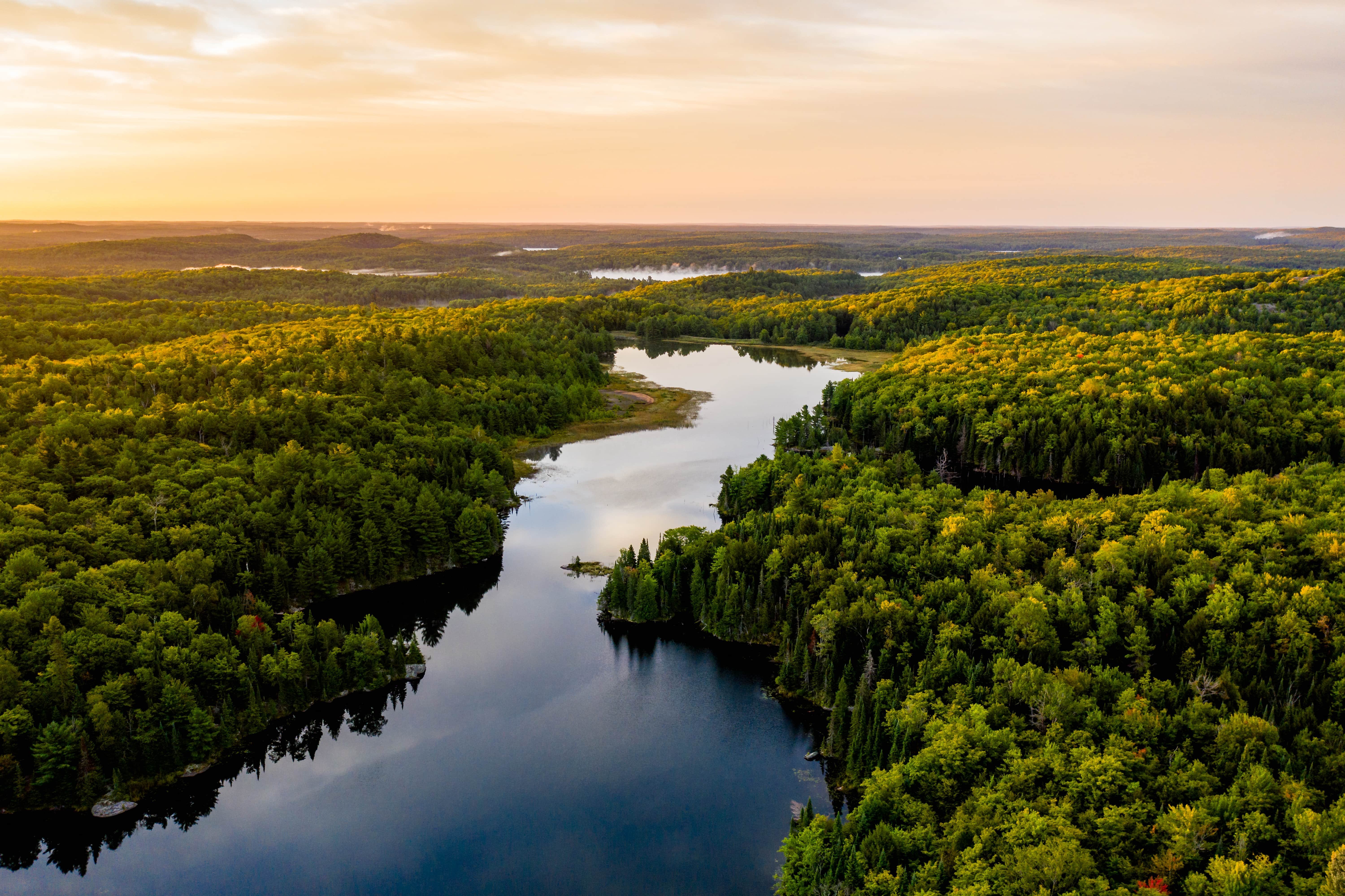 Forêt, Mirage responsable de nature