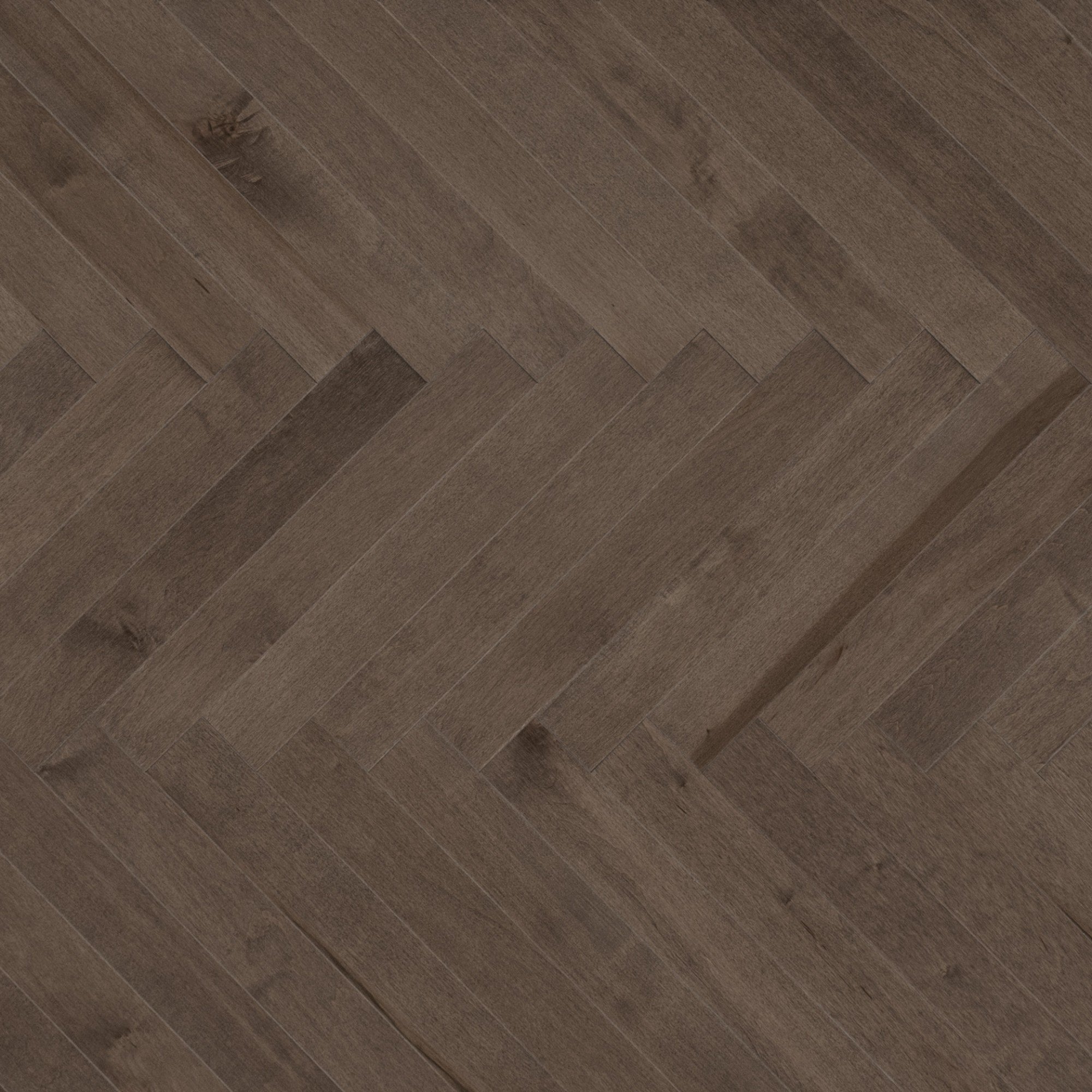 Maple Platinum Smooth Cashmere® - Floor image