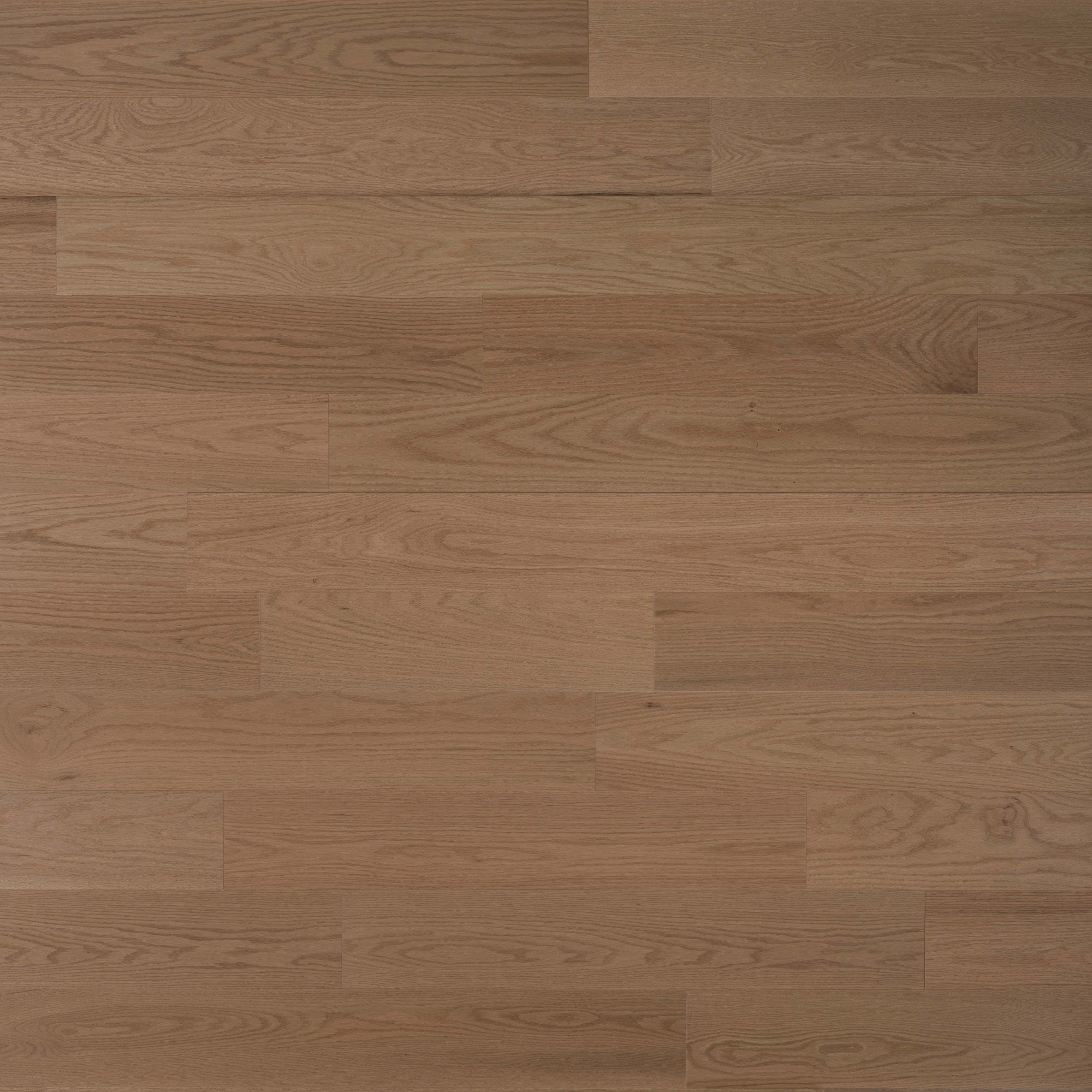 Oak Tofino Brushed DuraMatt X - Floor image