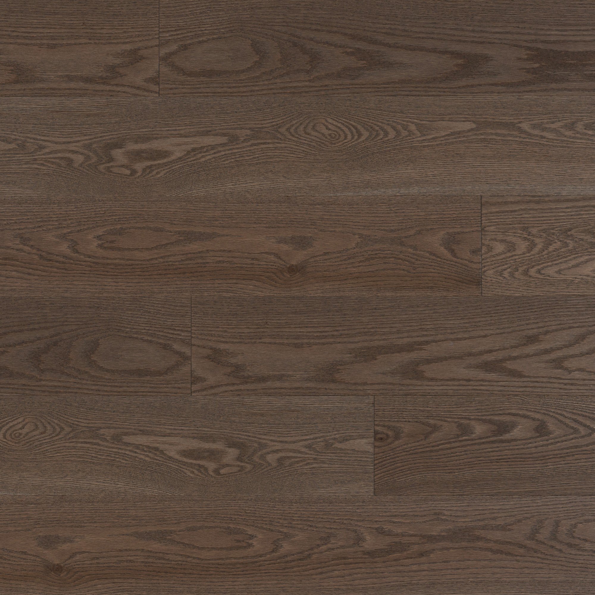 Red Oak Charcoal Exclusive Brushed - Floor image