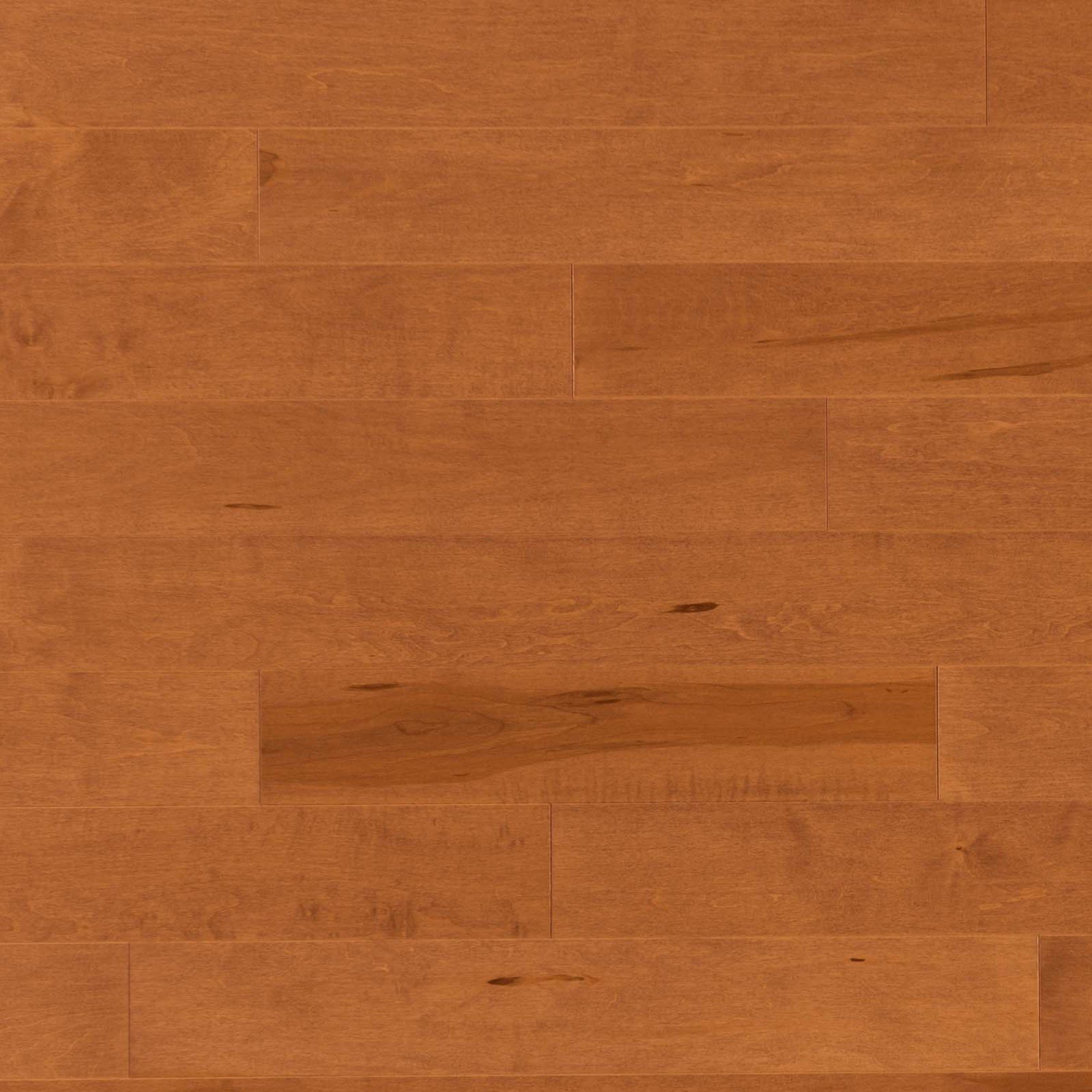 Maple Nevada Smooth Cashmere® - Floor image