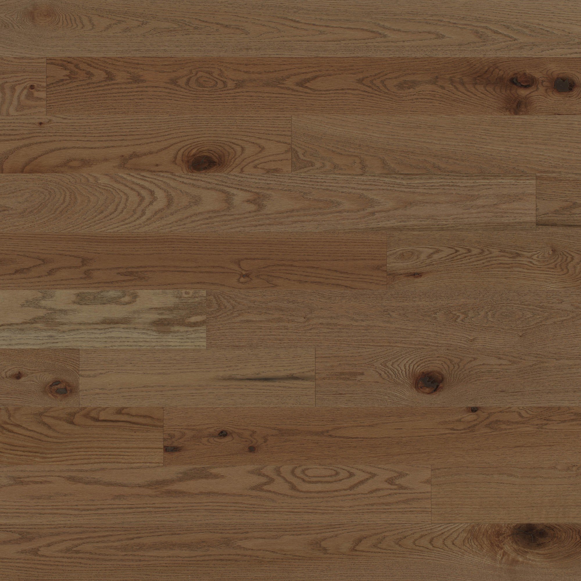 Red Oak Carmel Brushed Cashmere® - Floor image