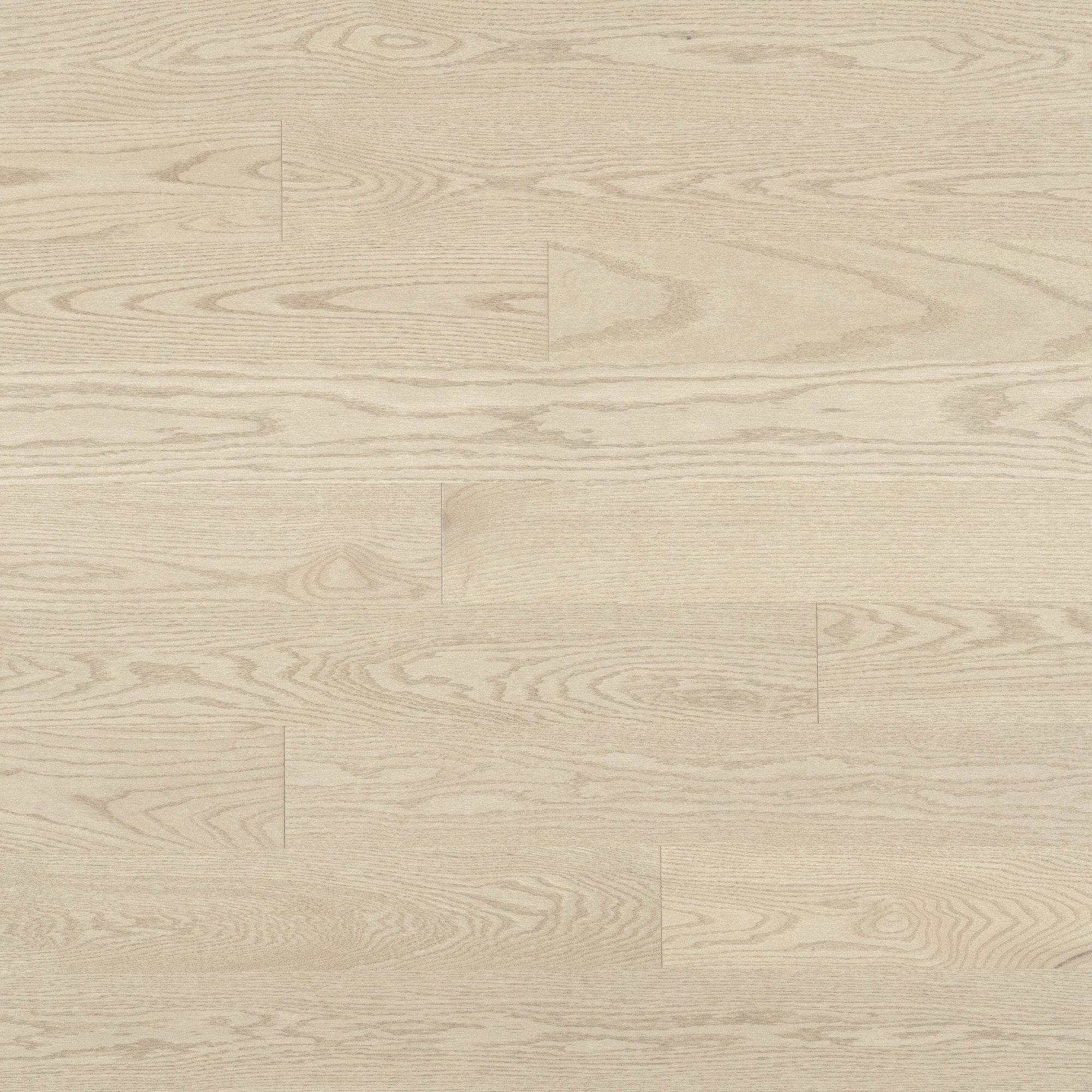 Red Oak Cape Cod Smooth Cashmere® - Floor image