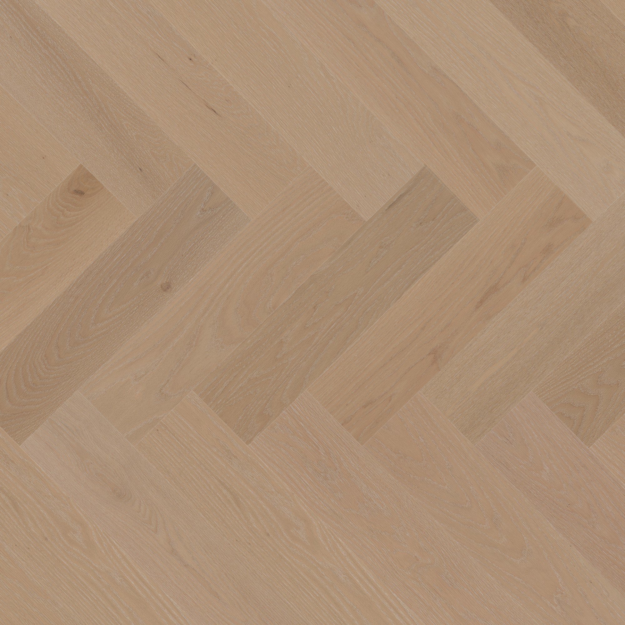 Oak Key Largo Brushed DuraMatt® - Floor image